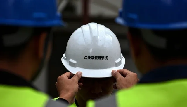 如何从技术角度评估定制开发软件包的选型标准